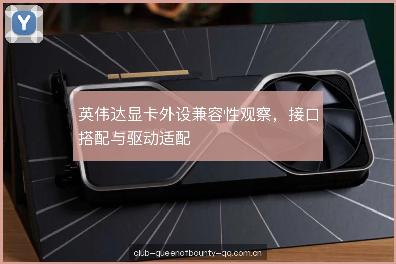 英伟达显卡外设兼容性观察,接口搭配与驱动适配 英伟达显卡外设兼容性观察,接口搭配与驱动适配